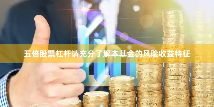 五倍股票杠杆请充分了解本基金的风险收益特征