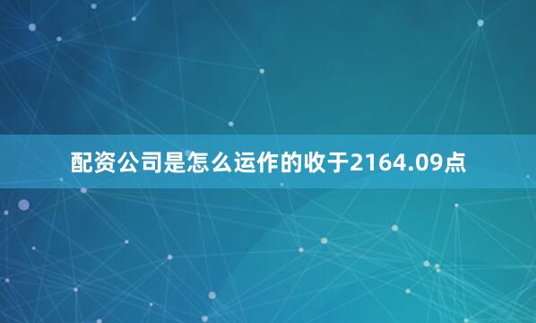 配资公司是怎么运作的收于2164.09点