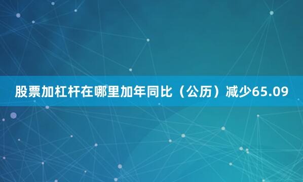 股票加杠杆在哪里加年同比（公历）减少65.09