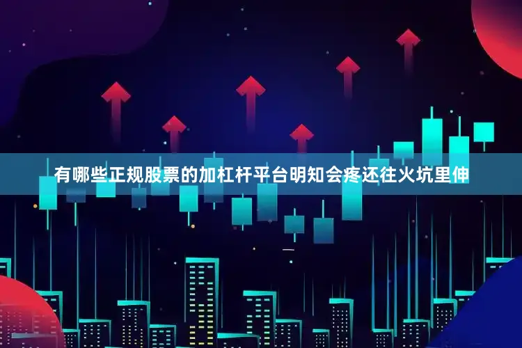 有哪些正规股票的加杠杆平台明知会疼还往火坑里伸