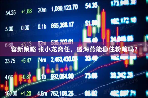 容新策略 张小龙离任，盛海燕能稳住粉笔吗？