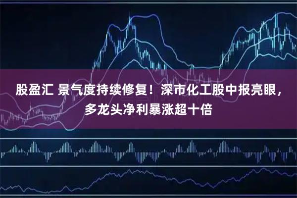 股盈汇 景气度持续修复！深市化工股中报亮眼，多龙头净利暴涨超十倍